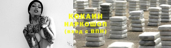 прущий лед Алзамай