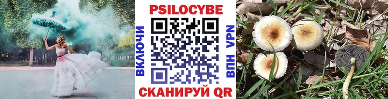 мега вход  наркота  Ардон  Псилоцибиновые грибы мицелий 
